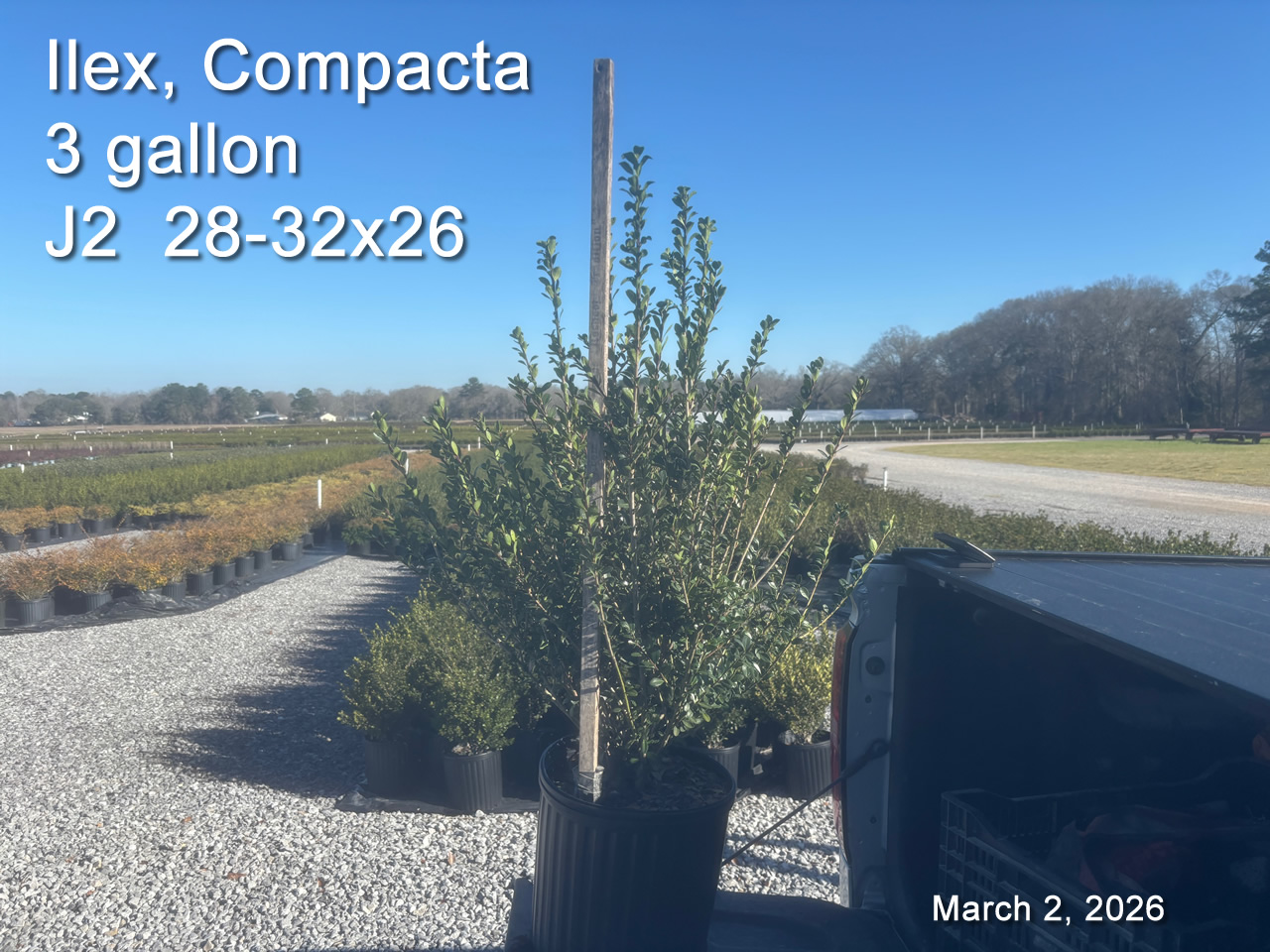 gallery/comp3 j2 mar2.jpg